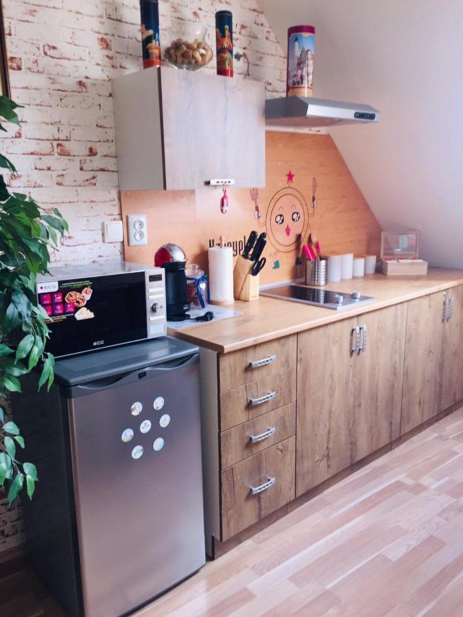 Apartments Friendly Family In The City Center Ceske Budejovice Exterior foto
