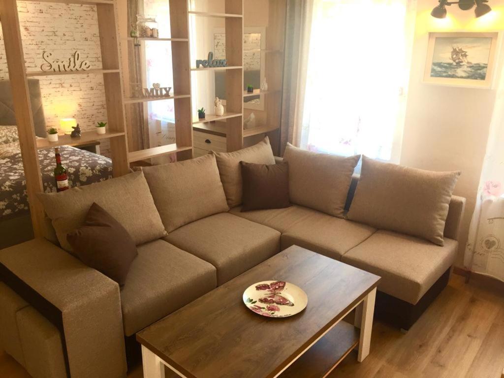Apartments Friendly Family In The City Center Ceske Budejovice Exterior foto