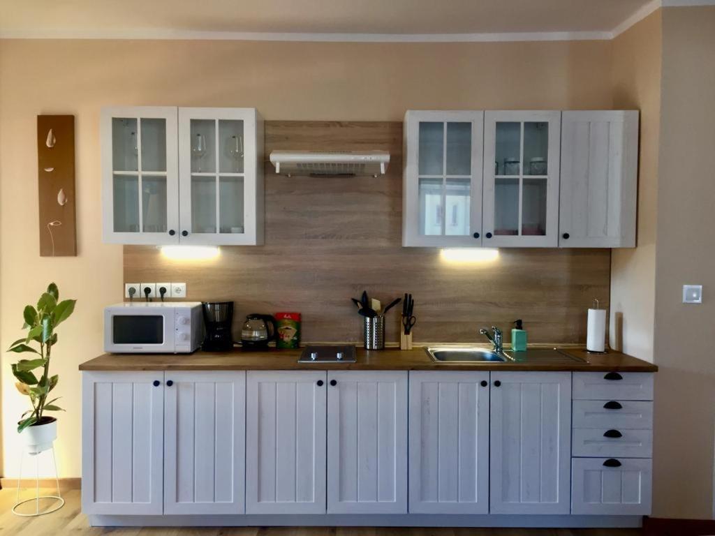 Apartments Friendly Family In The City Center Ceske Budejovice Exterior foto